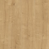 Дуб Гамильтон