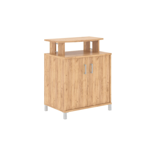 Фригобар (без холодильника) Born B 450.1 фото 4